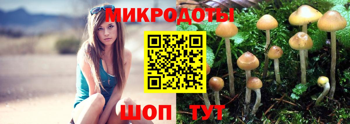 Галлюциногенные грибы Cubensis Москва